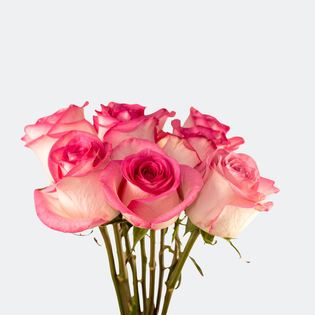 1 1