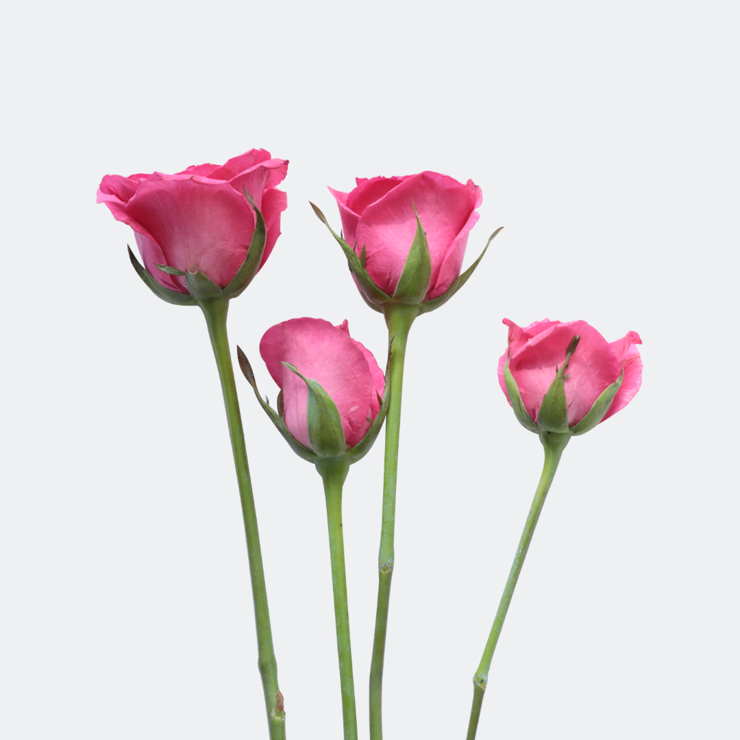 2 2