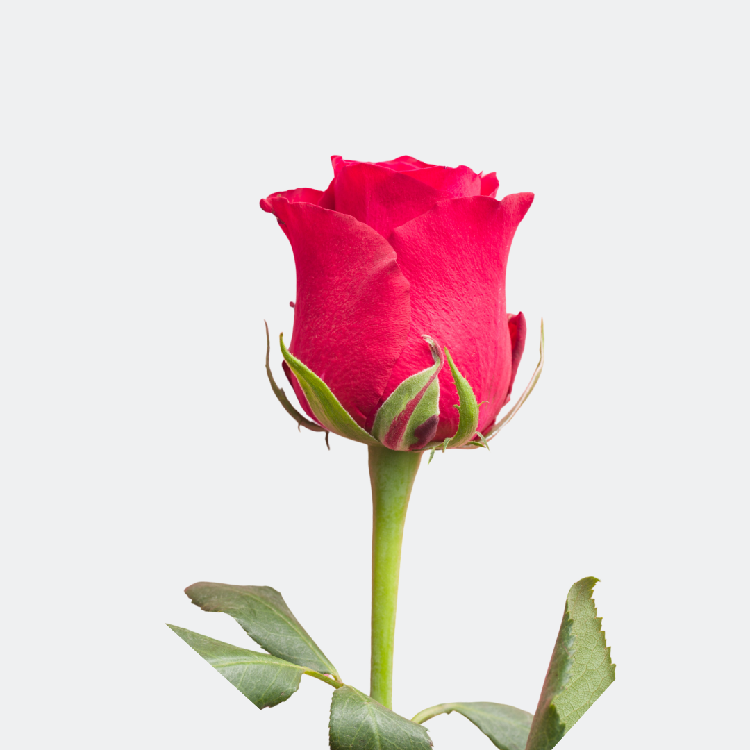 2 2